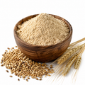 Jo Ka Sattu (Premium Roasted Barley Flour)