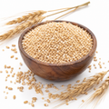 Jo Ka Daliya (Premium Barley Porridge)